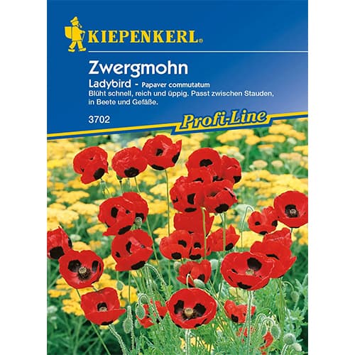 1 szt, Zwergmohn LadyBird - Samen: Ilość w opakowaniu: 1 Stück