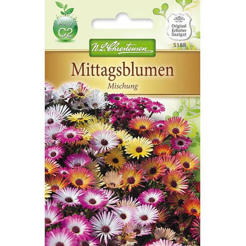 1 szt, Mittagsblume Mischung - Samen: Ilość w opakowaniu: 1 Stück
