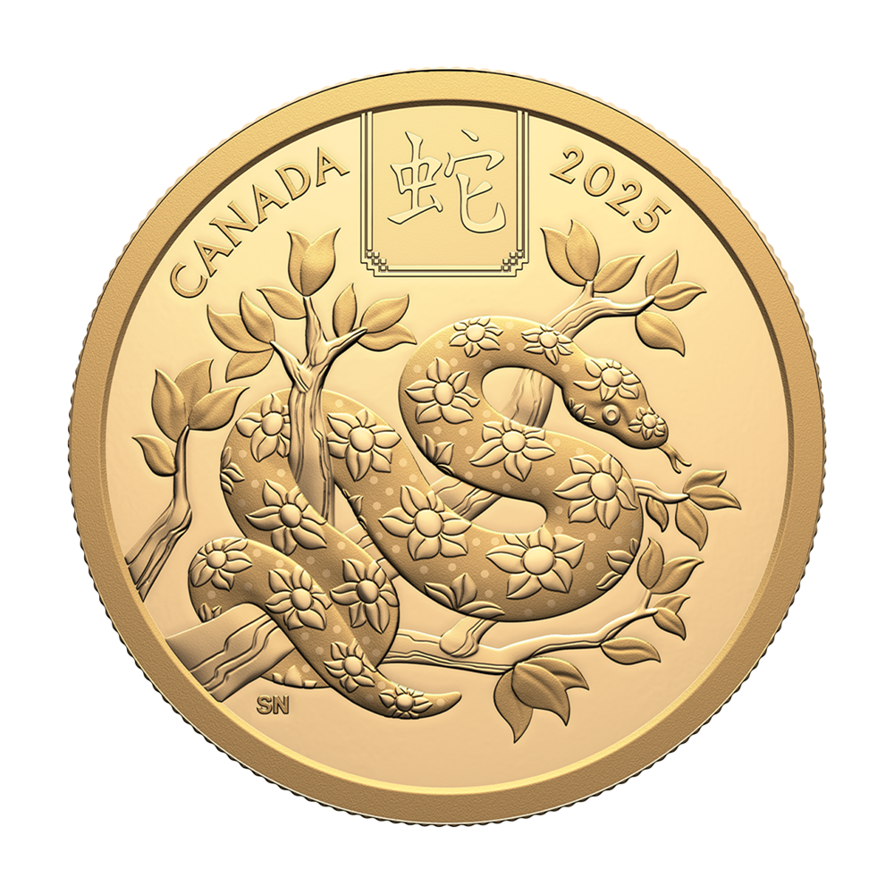 Złota moneta 100 CAD Kanadyjski Rok Węża 2025 Proof - wysyłka 24 h!