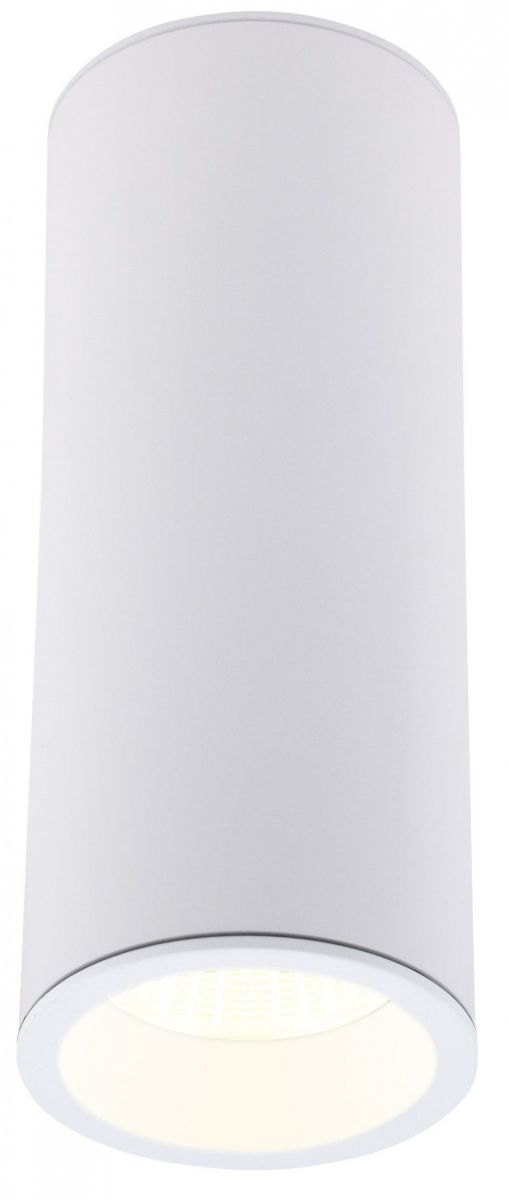 MaxLight Long lampa podsufitowa 1x7W LED biała C0153