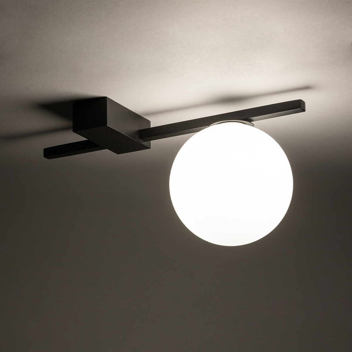 Nowodvorski Lighting Pik plafon 1x12 W biały-czarny 10299