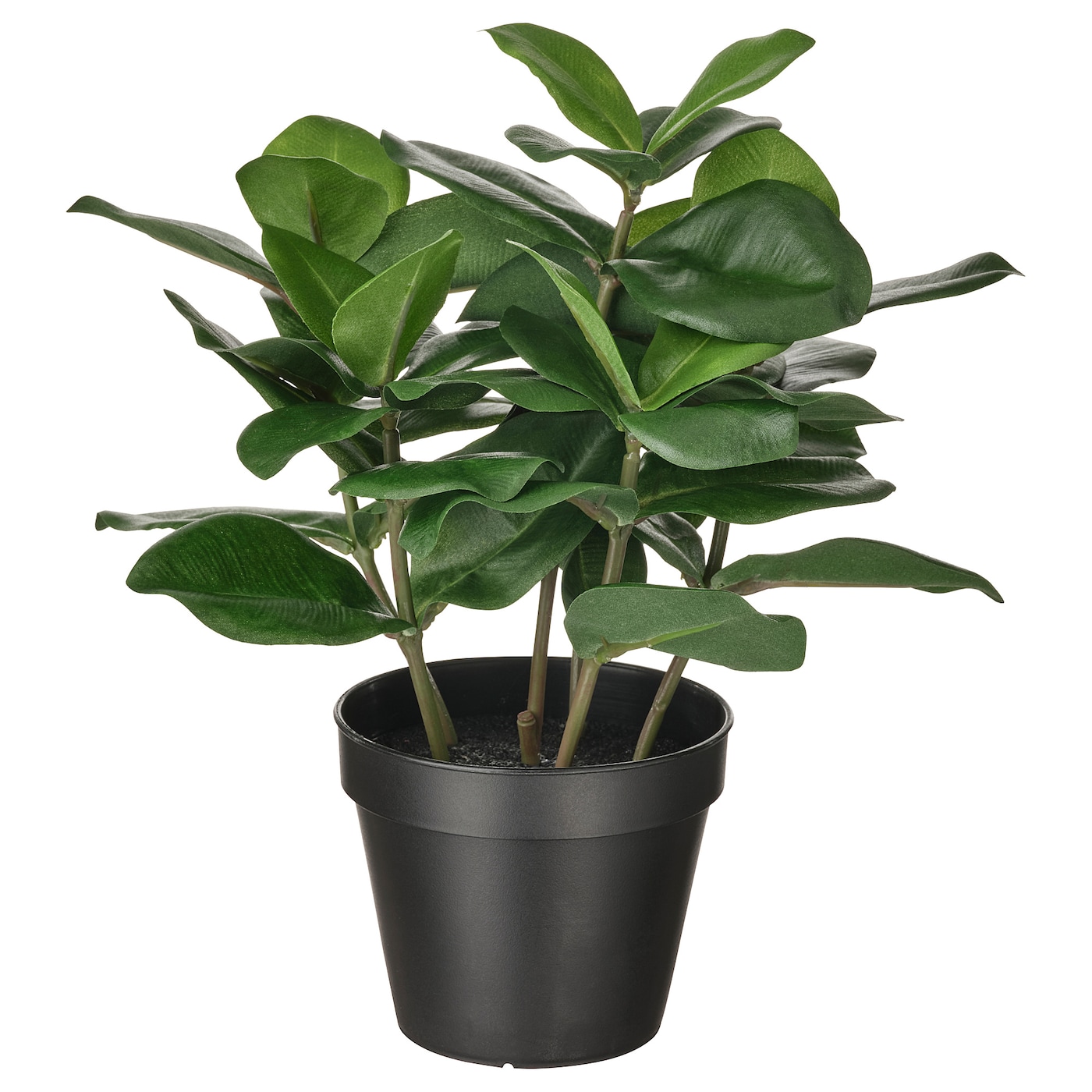 IKEA FEJKA sztuczna roślina doniczkowa, do wewnątrz/na zewnątrz Kluzja różowa, 12 cm