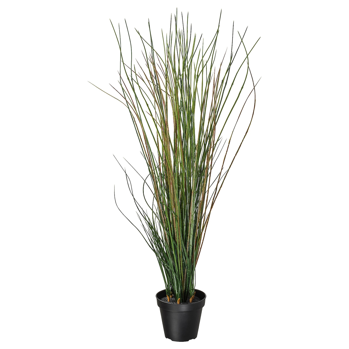 IKEA FEJKA sztuczna roślina doniczkowa, Trawa, 17 cm