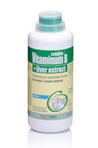 Vitamin B-Komplex (Vitamin B-Komplex) 100 ml