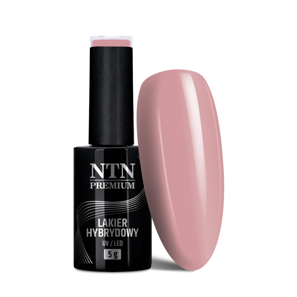 Lakier hybrydowy Ntn Premium Romantica Collection 5 g Nr 106