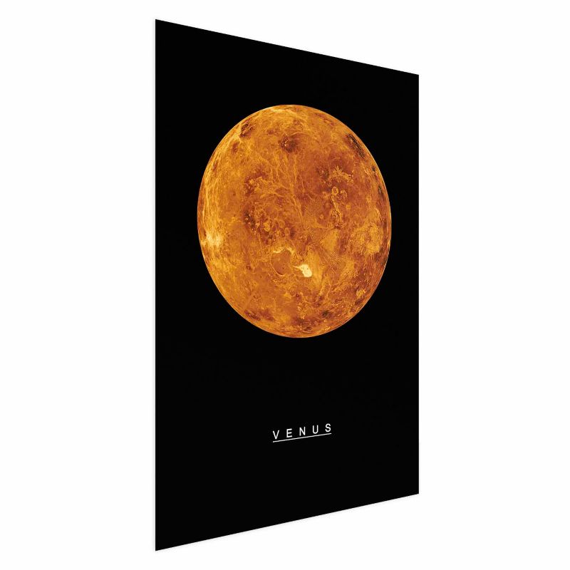 Plakat Artgeist Wenus 29,7x42 cm bez ramy 1 szt