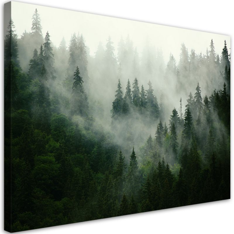 Obraz do salonu sypialni Feeby Las we mgle Krajobraz Zielony 90x60cm 1szt