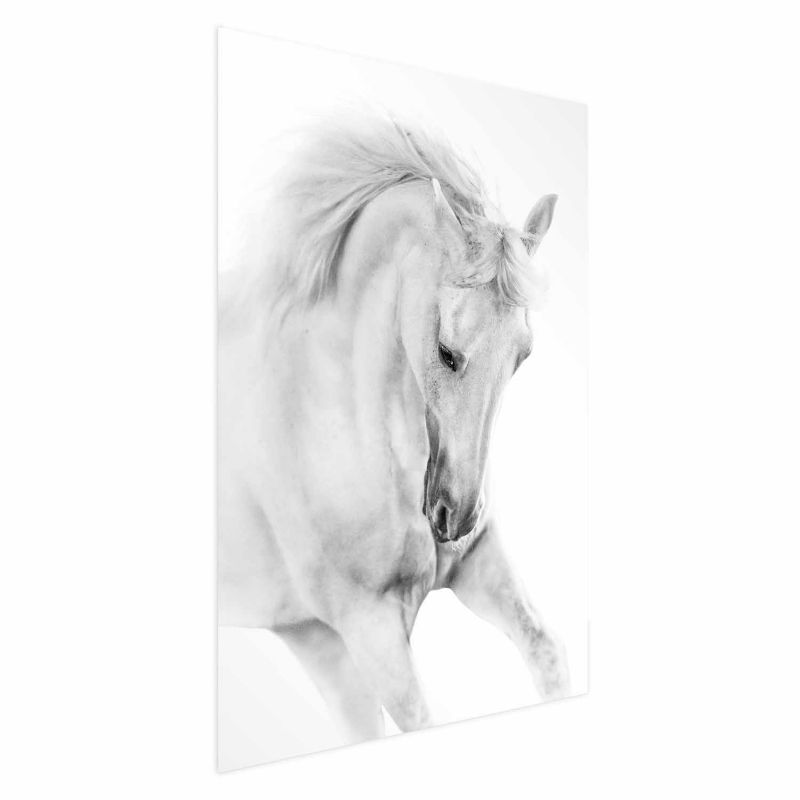 Plakat Artgeist Biały koń 21x30 cm bez ramy 1 szt