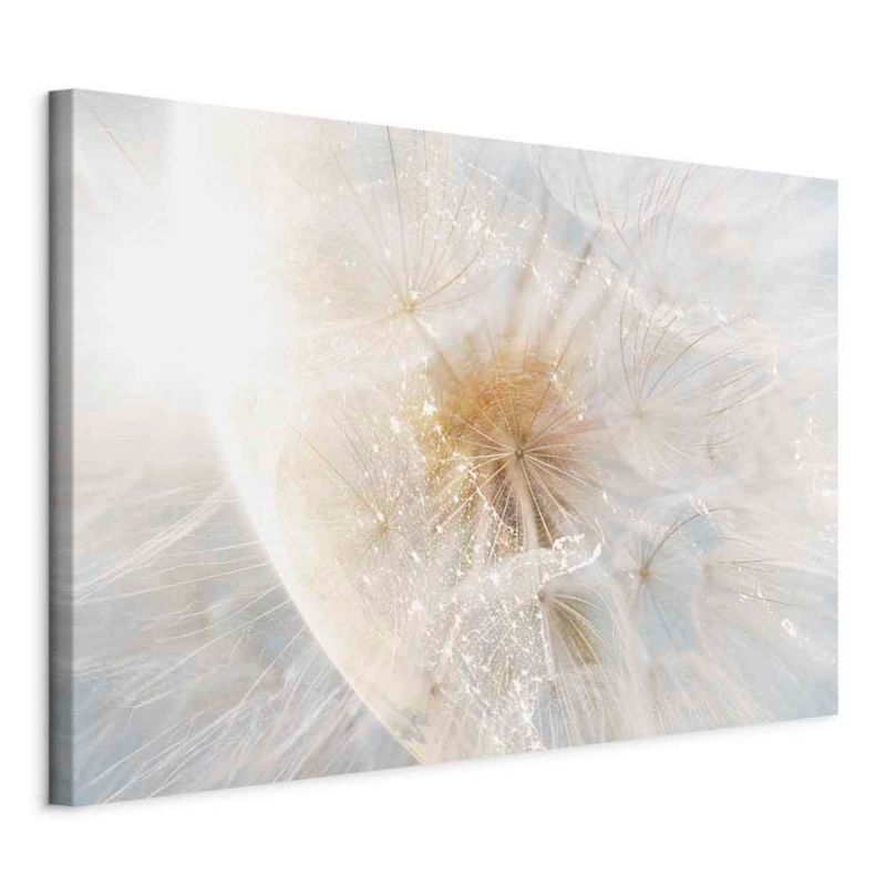 Obraz Artgeist Dmuchawiec w słońcu 30 x 20 cm płótno włoskie 1 szt