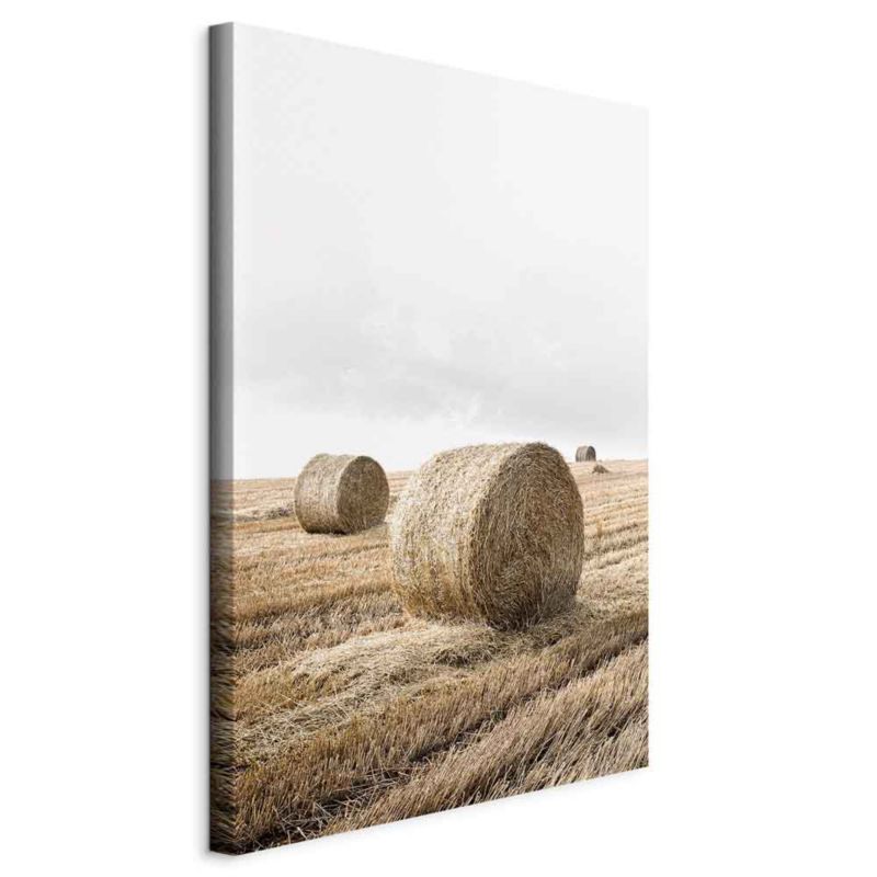 Obraz Artgeist Siano 60 x 90 cm płótno włoskie 1 szt