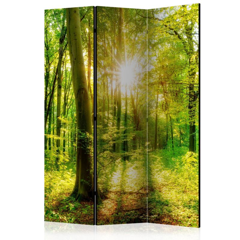 Parawan dwustronny Artgeist Pejzaże 135x172 cm Pejzaże 1 szt