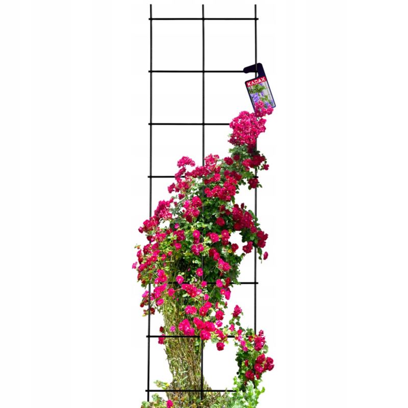Pergola KADAX Krata Ogrodowa Do Roślin Pnących 35x120 1 szt.