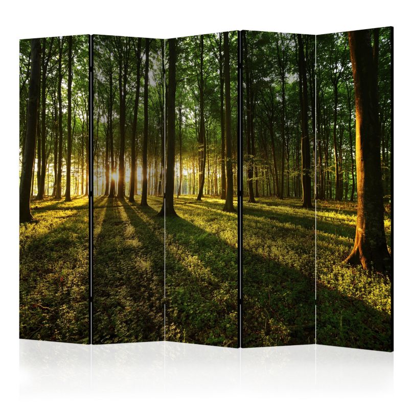 Parawan dwustronny Artgeist Pejzaże 225x172 cm Pejzaże 1 szt