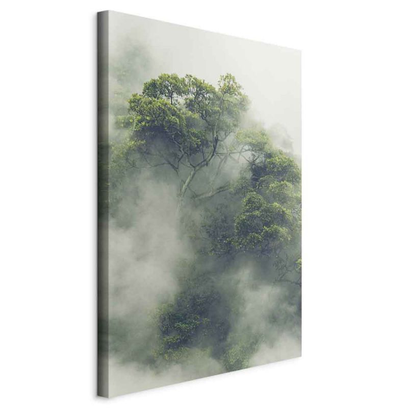 Obraz Artgeist Mglista Amazonia 60 x 90 cm płótno włoskie 1 szt