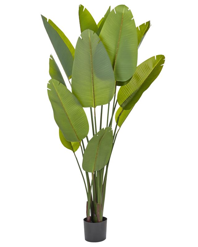 Sztuczna roślina Banana tree 187 cm Zielony 1 szt.
