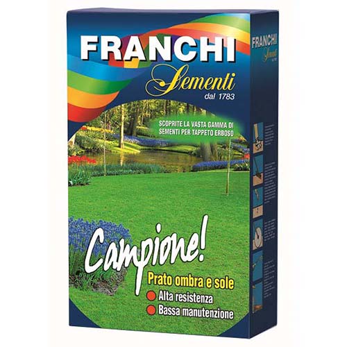 1 szt, Trawa gazonowa na trawnik Campione Morami - Nasiona: Ilość w opakowaniu: 250 g
