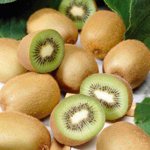 1 szt, Mini-kiwi (actinidia) Jenny - Sadzonki: Ilość w opakowaniu: 2 sadz