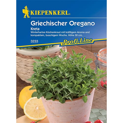 Oregano Kreta - Nasiona. Ilość w opakowaniu: 1 opak - GradinaMax