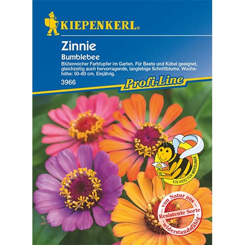 Cynia wytworna Bumblebee - Nasiona. Ilość w opakowaniu: 1 opak - GradinaMax