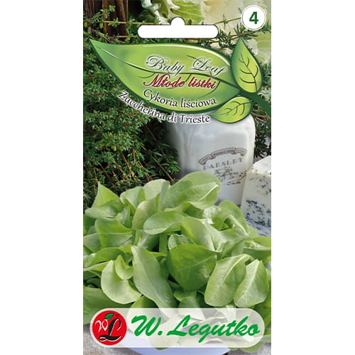 1 szt, Cykoria liściowa Zuccherina di Trieste - Baby Leaf - Nasiona: Ilość w opakowaniu: 1.5 g