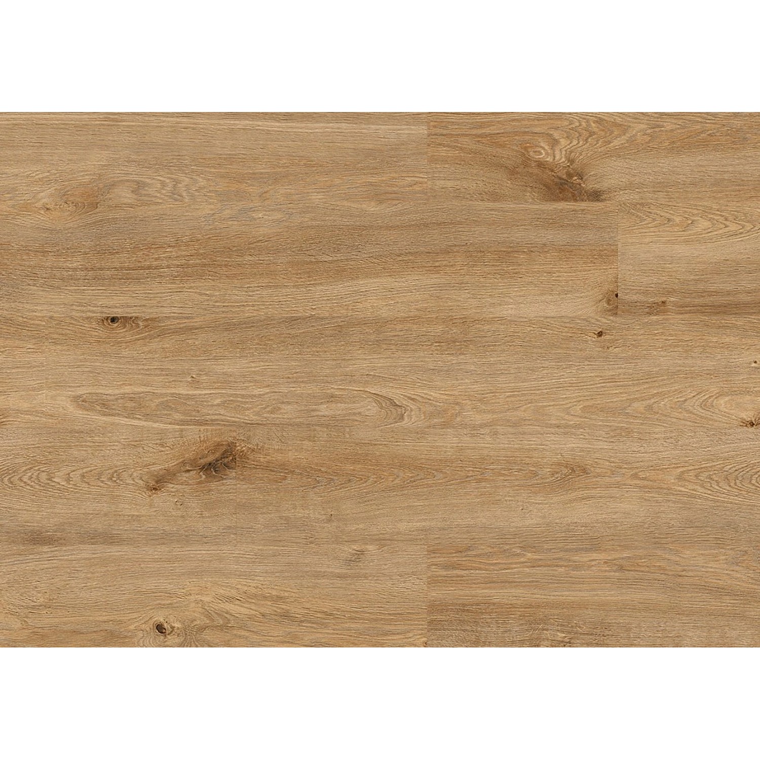 Kronostep Panel podłogowy Dąb Solar 8 mm AC 5