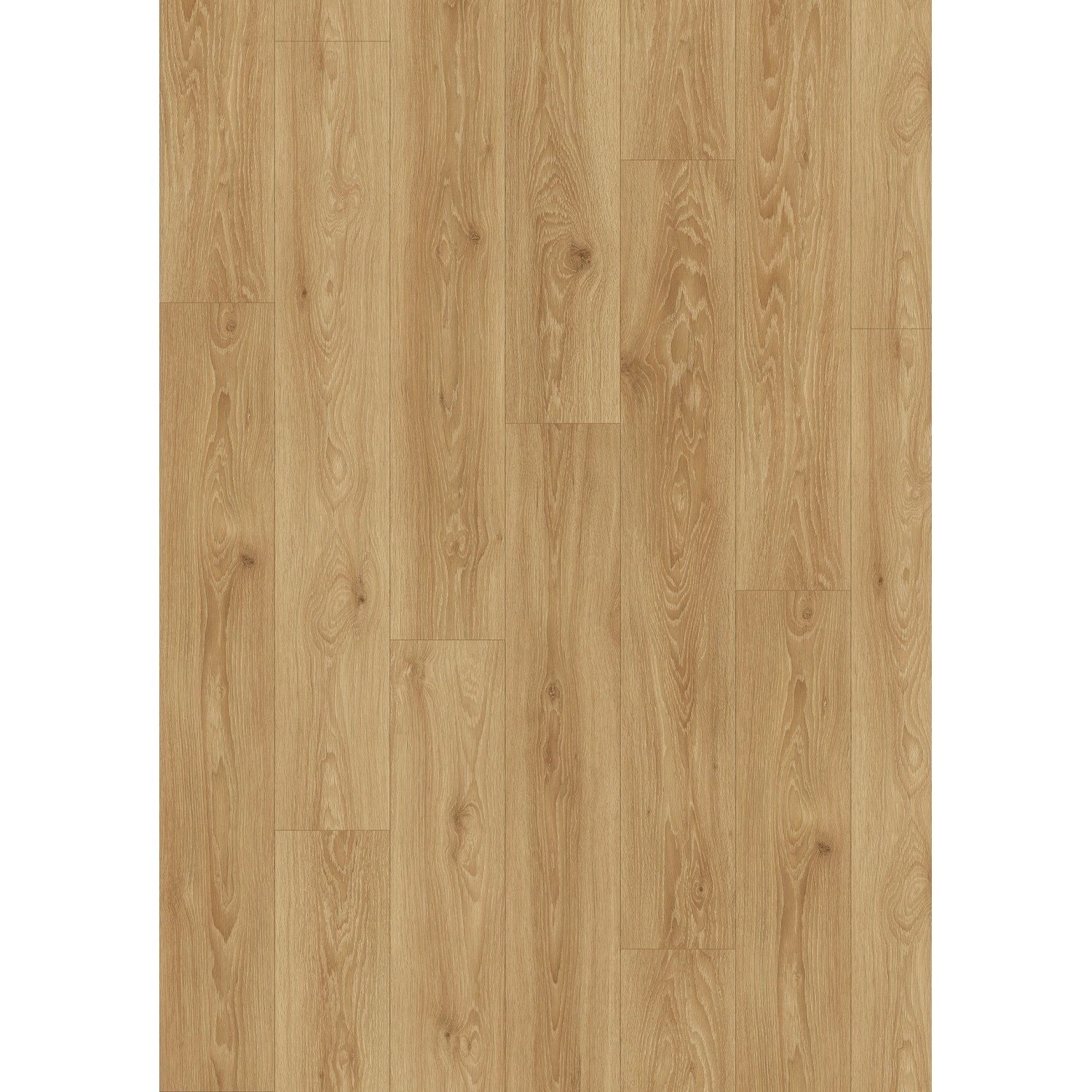 Kronostep Panel podłogowy Dąb Dalby AC5 8mm