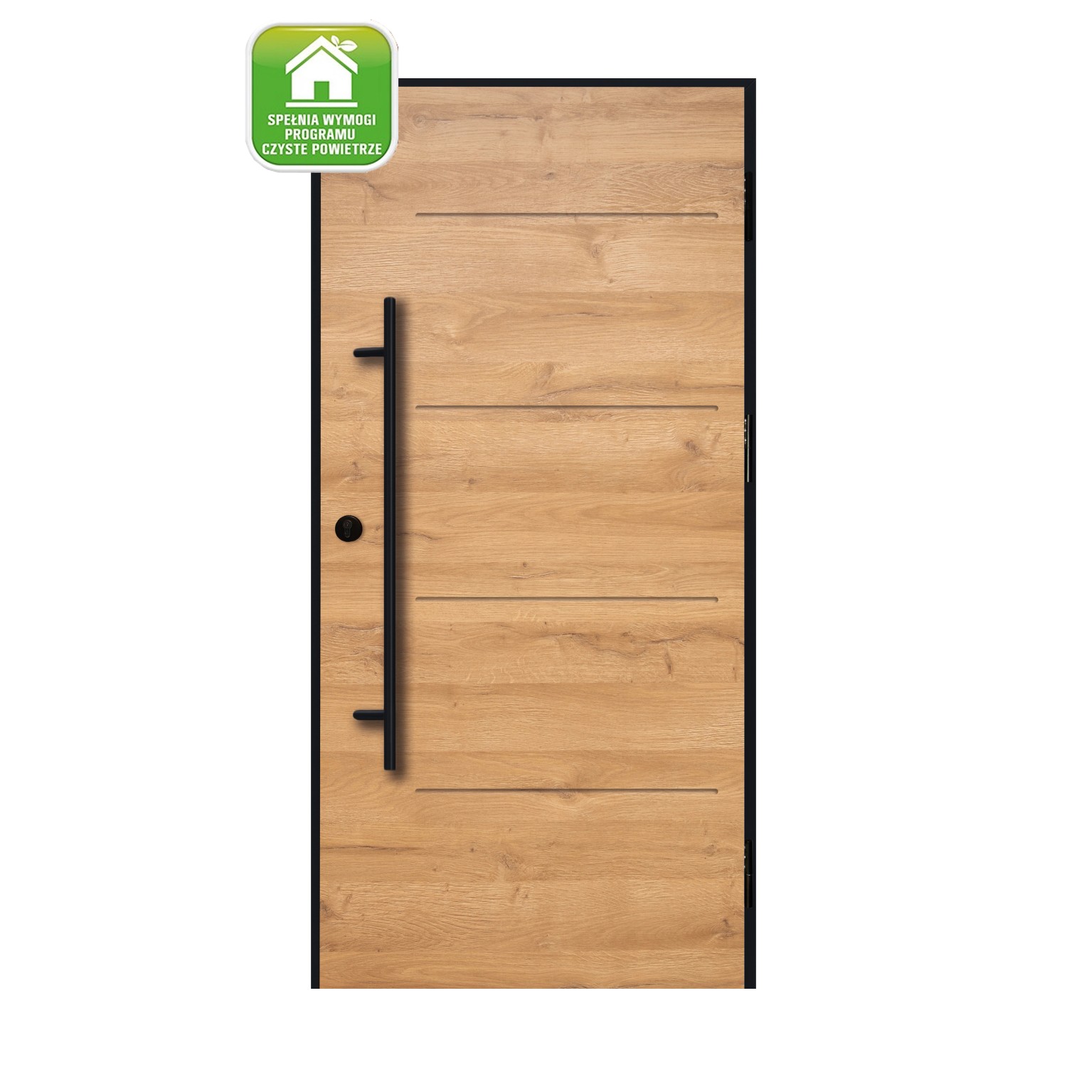 Splendoor Drzwi zewnętrzne Ledro Grandson 90P