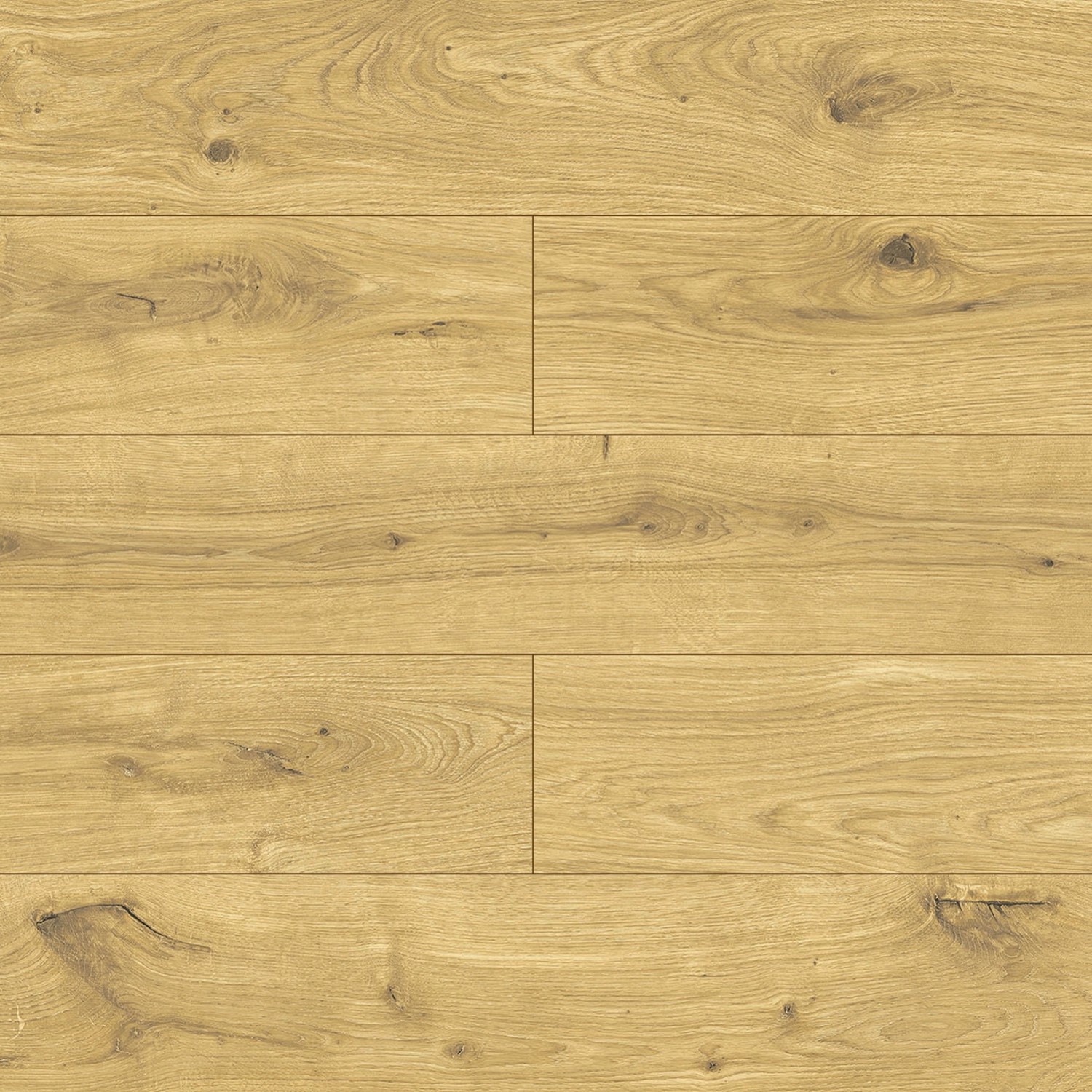 Swiss Krono Panel podłogowy Dąb Orlean 8 mm AC 4