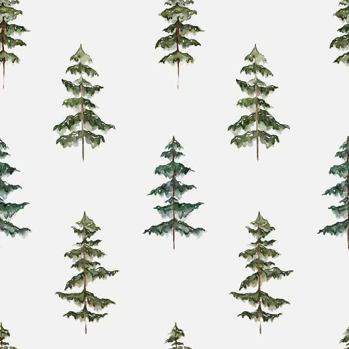 Tapeta Pine Wood 1 BW