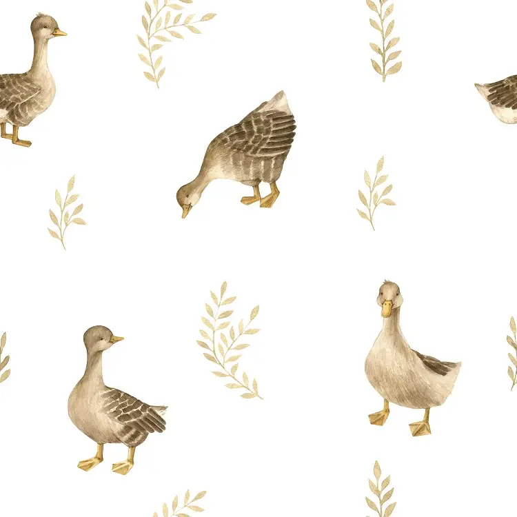 Tapeta Country ducks on white