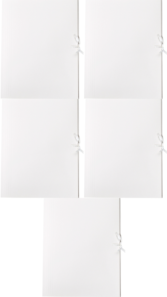 5x Teczka wiązana Lux Barbara, A4, kartonowa, 250g/m2, 20mm, biały