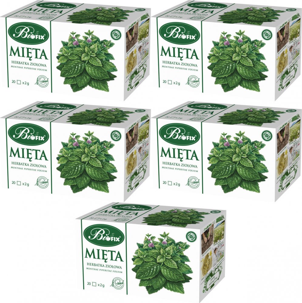 5x Herbata ziołowa w torebkach Bifix, mięta, 20 sztuk x 2g