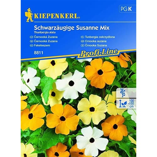 1 pac, Thunbergia Susanne, mix multicolor - Semințe: Mod de ambalare: 1 pac