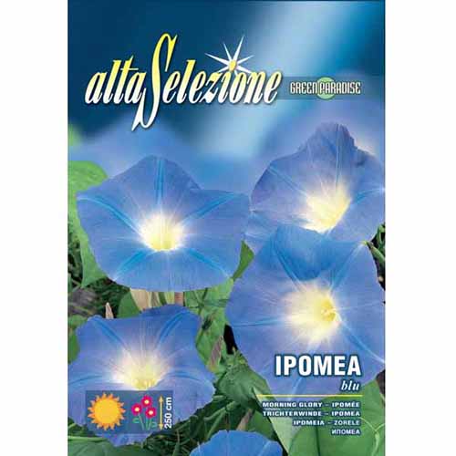 1 pac, Gloria de dimineață albastră - Semințe: Mod de ambalare: 2.5 g