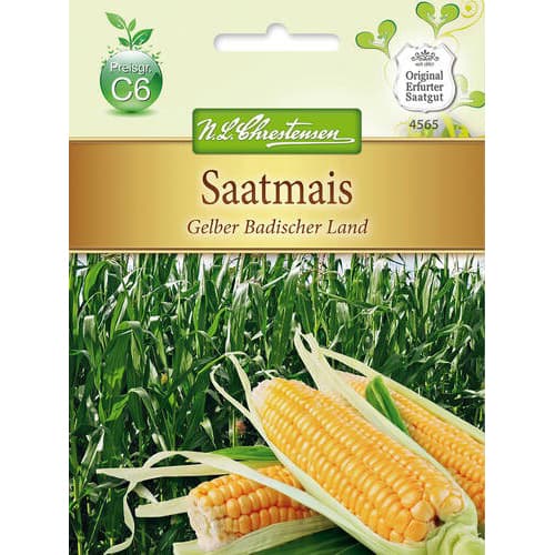 1 szt, Takarmánykukorica Yellow Baden country - Magok: Mod de ambalare: 1 db