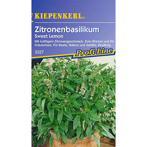 1 szt, Bazsalikom Sweet Lemon - Magok: Mod de ambalare: 1 db