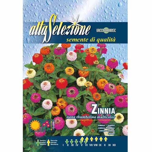 1 szt, Vasvirág Thumbelina, mix - Magok: Mod de ambalare: 1 db
