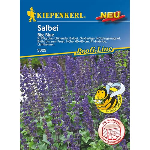 1 szt, Salbei Big Blue F1 - Samen: Ilość w opakowaniu: 1 Stück