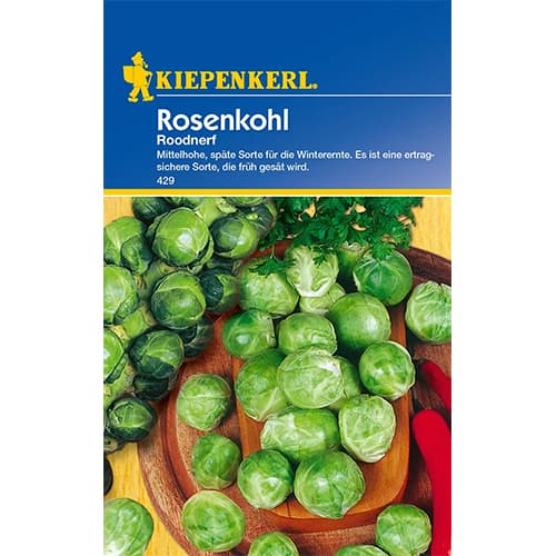 1 szt, Rosenkohl Roodnerf - Samen: Ilość w opakowaniu: 1 Stück
