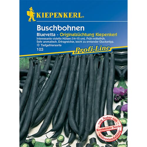 1 szt, Buschbohne Bluevetta - Samen: Ilość w opakowaniu: 1 Stück