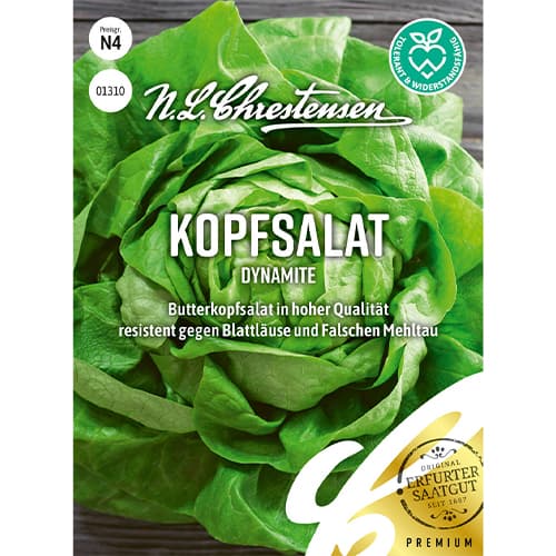 1 szt, Kopfsalat Dynamite Chrestensen - Samen: Ilość w opakowaniu: 1 Stück
