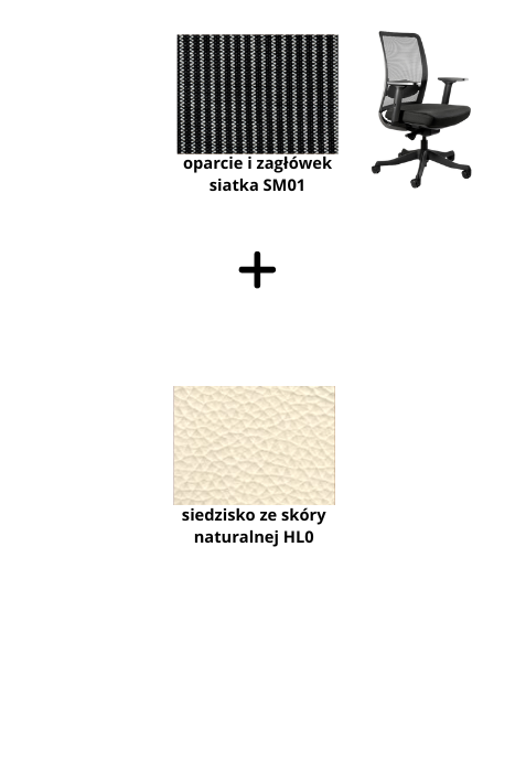 ANGGUN M fotel biurowy czarny stelaż, siatka, tkanina kolory