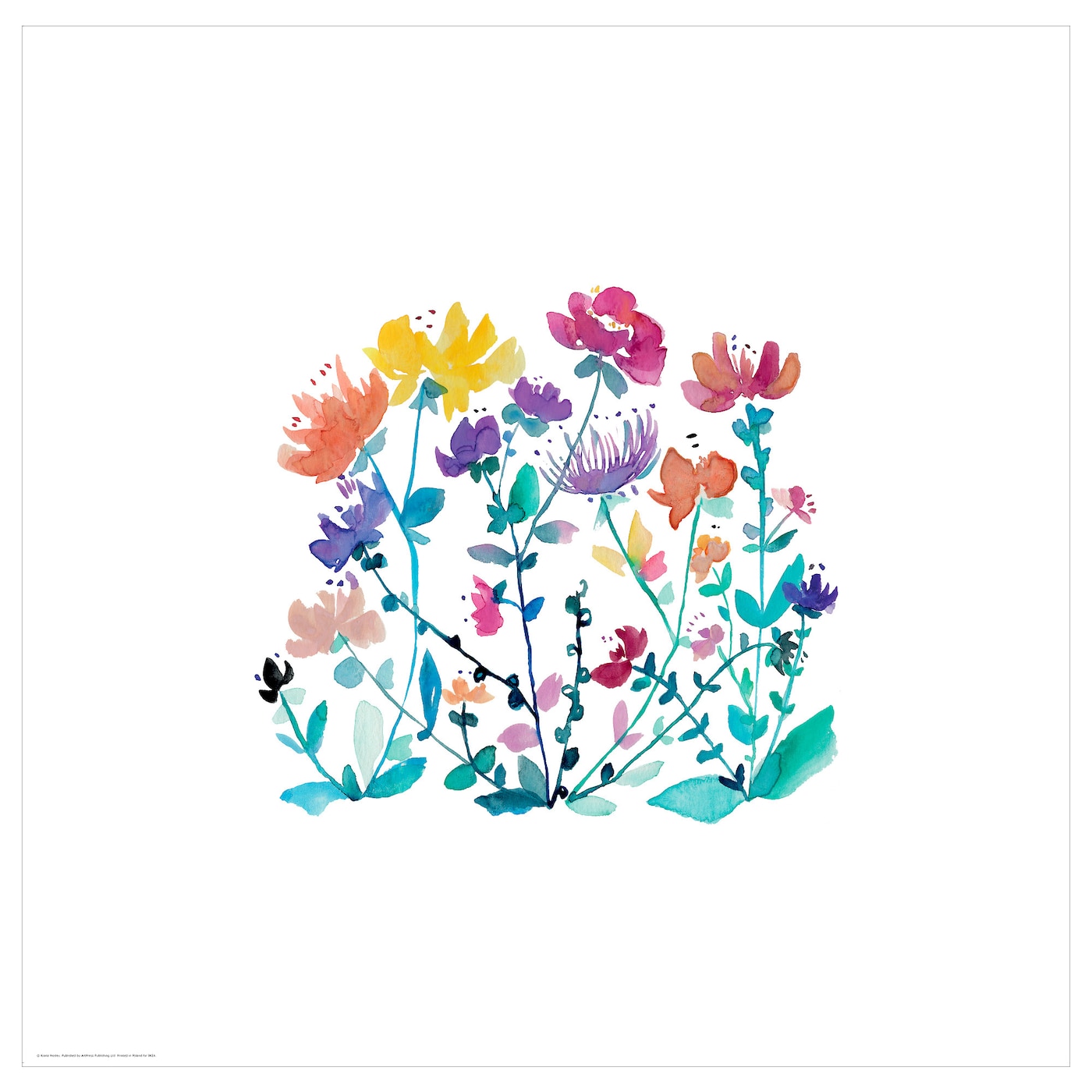 IKEA BILD Plakat, polne kwiaty, 50x50 cm