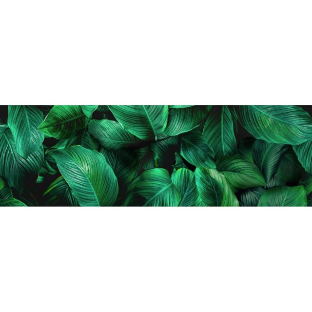 Płytka ścienna inserto Alfa-Cer szklana NEXT FICUS A GLASS green 29x8