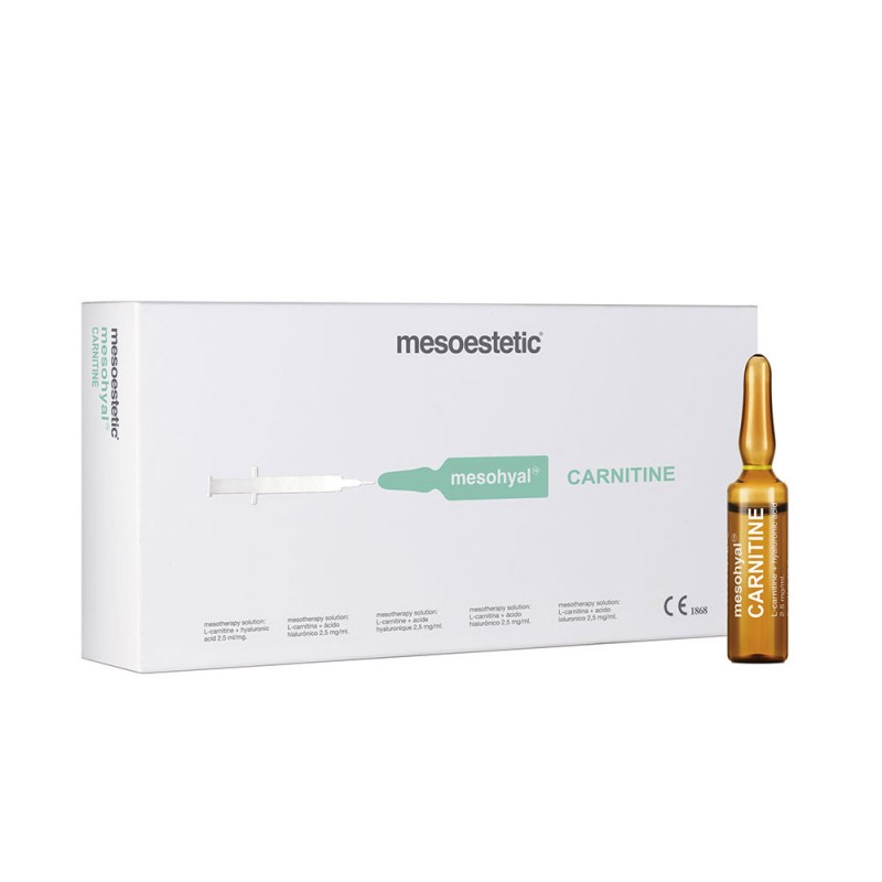 Mesohyal L-karnityna (20 x 5 ml)