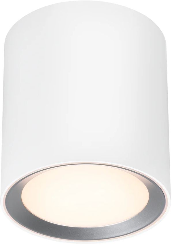 Darmowa Dostawa - Lampa podsufitowa Nordlux Landon 2110670101
