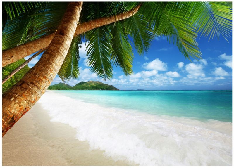 Fototapeta Na Flizelinie WALLARENA 250x175 cm Tapeta Do Sypialni Plaża Morze 1 szt.
