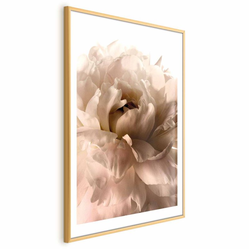 Plakat Artgeist Miękkie płatki 40x60 cm z ramą złotą 1 szt