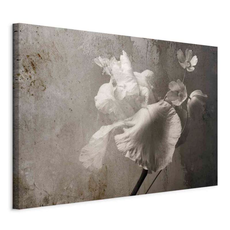 Obraz Artgeist Wenecki blask 60 x 40 cm płótno włoskie 1 szt