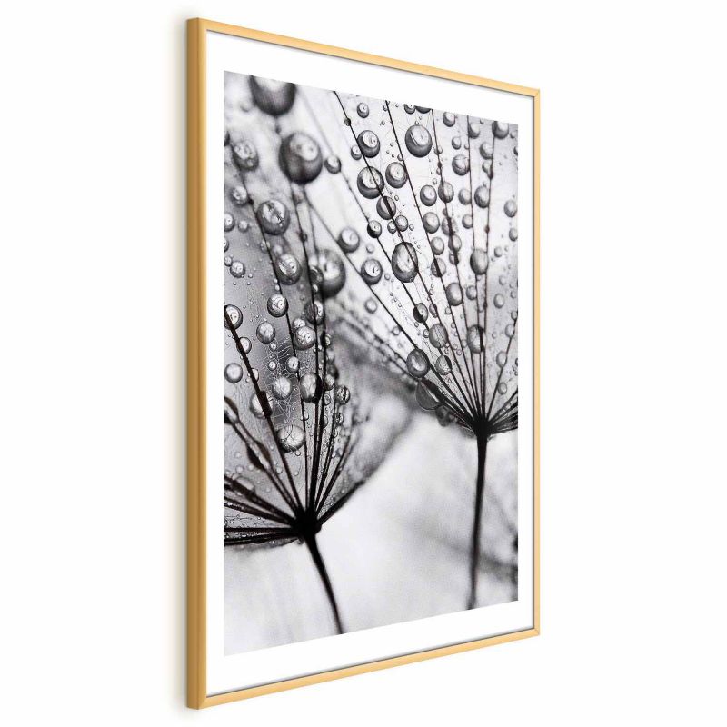 Plakat Artgeist Rosa 21x30 cm z ramą złotą 1 szt